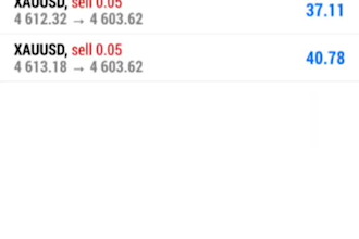 gold ea bot forex trading bot trading ea bot forex bot gold robot xauusd robot