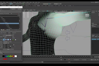 3d character rigging,skin weight paint,blendshape,humanoid rig,facial expression