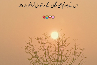 write professional urdu poetry for your special events