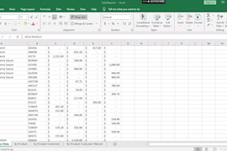 professional excel spreadsheets and reports