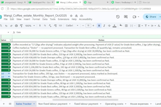 do clean format and validate your excel data in 1 to 2 hours
