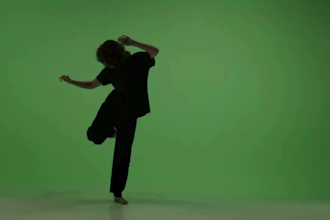 write and produce a funny comedy song for your project