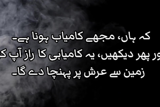 write, edit and proofread unique urdu articles and stories