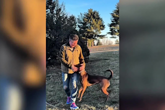 create mature ugc video ads for your pet products or service