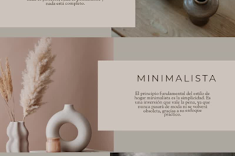 canva infographic design for business and education