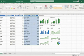 data entry data sorting copy and paste work