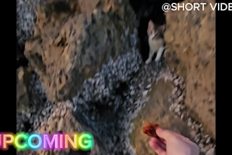 edit video, shorts, with subtitles, captions