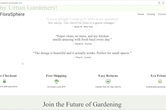 design a modern shopify store website