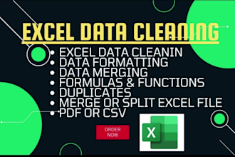 do excel data cleaning, formatting, data processing,