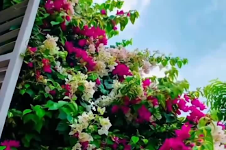 create aesthetic tamil lyrics video edits