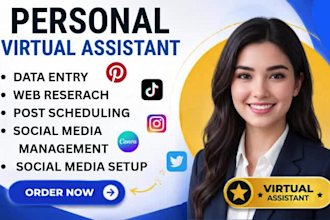 personal assistent geschaftsfuhrer gohighlevel virtuelle assistent social media