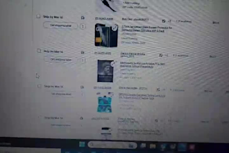 do professional ebay dropshipping from amazon and manage your ebay store