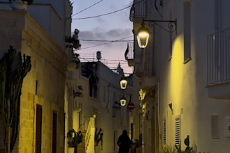 create viral youtube shorts and reels