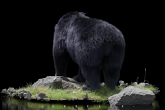 create 3d animal model pet, creature with realistic fur, xgen hair and texture