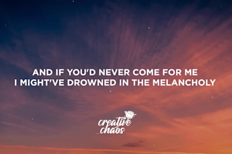 cerate a professional simple lyrics video and write custom lyrics for your song