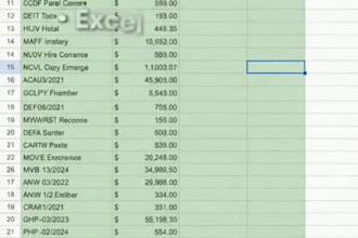 accurate data entry, excel data entry, copy paste and web research