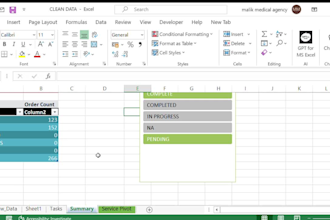 clean format and organize your excel data