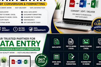 do data entry PDF conversion and formatting