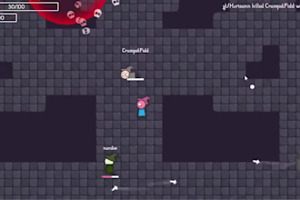 develop a online multiplayer unity game with online features