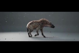 create realistic 3d animal animation, 3d creatures, 3d animal, rig for animation