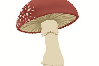 design and illustrate items for video games and mobile games
