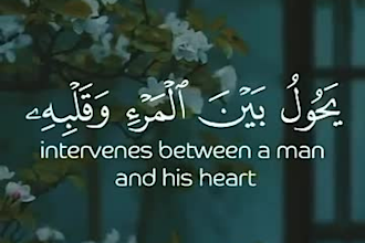be your best online quran teacher for kids and adults, learn quran with tajweed