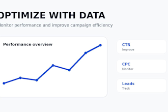 set up and manage facebook and instagram ads campaigns