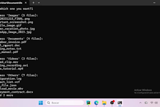 organize, rename and clean your messy files automatically