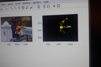 do image proecessing ml and dl project
