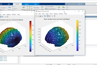 do mathematical modeling and numerical analysis in matlab or python