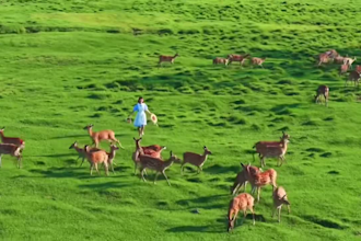 be your hulunbuir local guide and design a custom travel itinerary