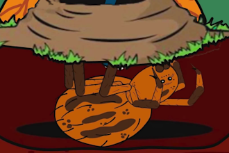 create 2d animated animal documentary videos for youtube