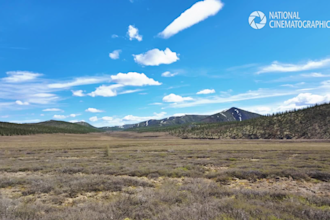 do crafting stock footages video editing