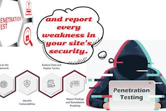 do vulnerability assessment and penetration testing on your website