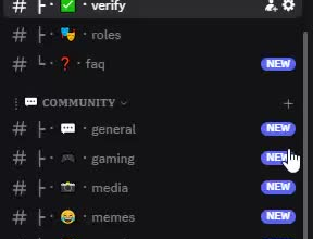 setup a professional custom discord server for your community