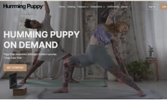 redesign wellness website holistic wellness web coach website counseling website