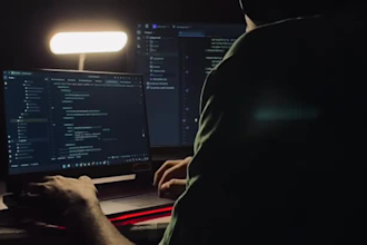 wordpress errors, bugs, critical errors, and website issues