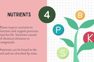 design stem science worksheets and conduct online lessons