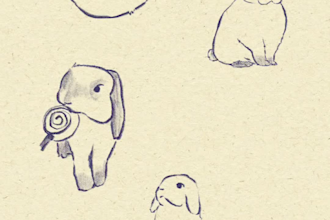 draw your pet in a cute doodle style
