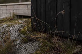 turn your architectural renders into cinematic videos