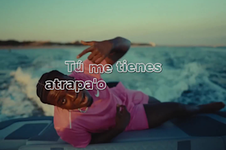 add professional subtitles to your videos