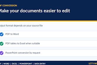 data entry, PDF conversion and document formatting