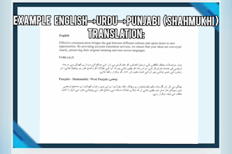 professionally translate english, urdu, shahmukhi punjabi