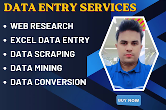 do professional data entry excel data entry and web reseach
