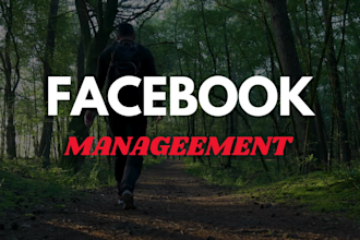 setup and manage facebook ads advertising marketing campaign