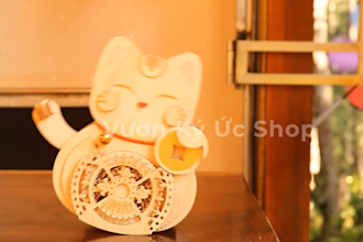 detailed product concept design and development