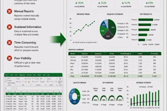 create professional excel mis reports for your business