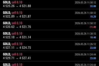 set up custom forex expert advisor