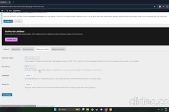 do fast wordpress speed optimization elementor bug fix, elementor issues