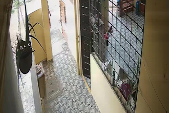 provide professional cctv camera installation and networking services